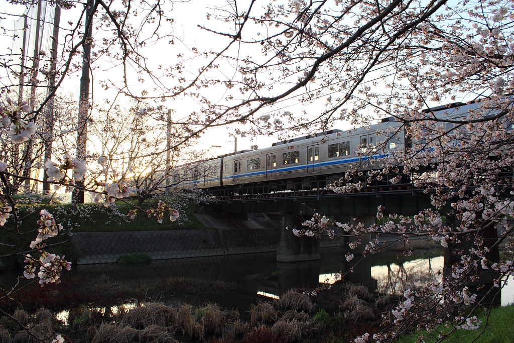 さくら列車で行こう