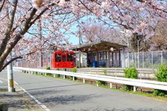 桜～列車＾＾