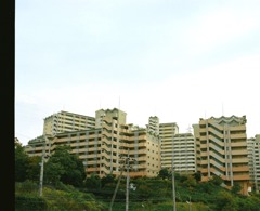 きすう　１