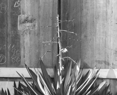 BW 2