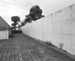 ６×７　＃１８