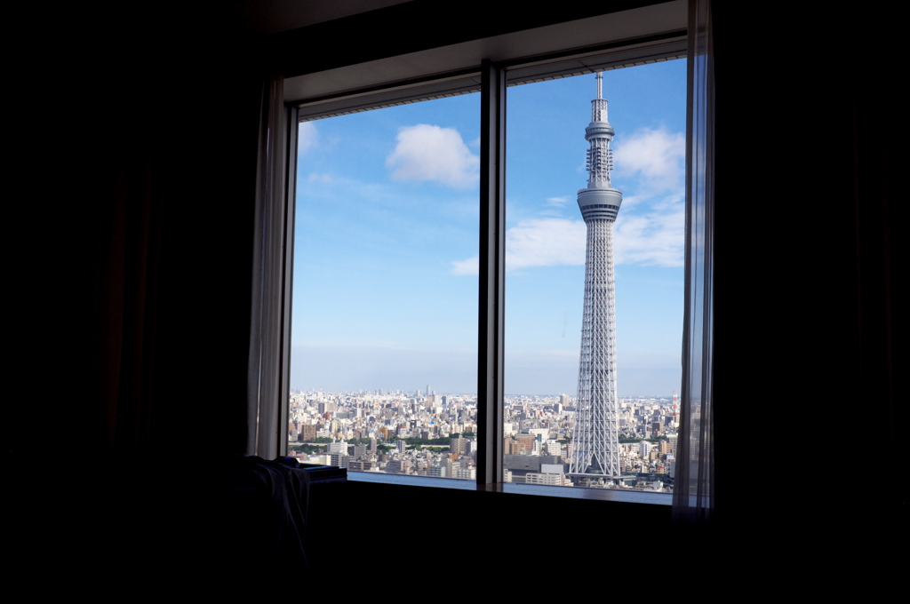 TOKYO WINDOWS VIEW