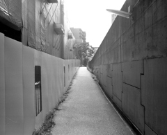 ６×７　＃１４