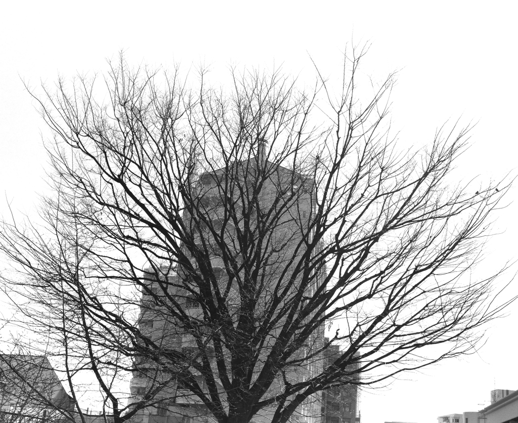 BW 10
