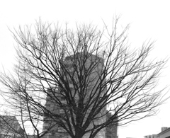 BW 10