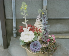 SWEET DAYS 4