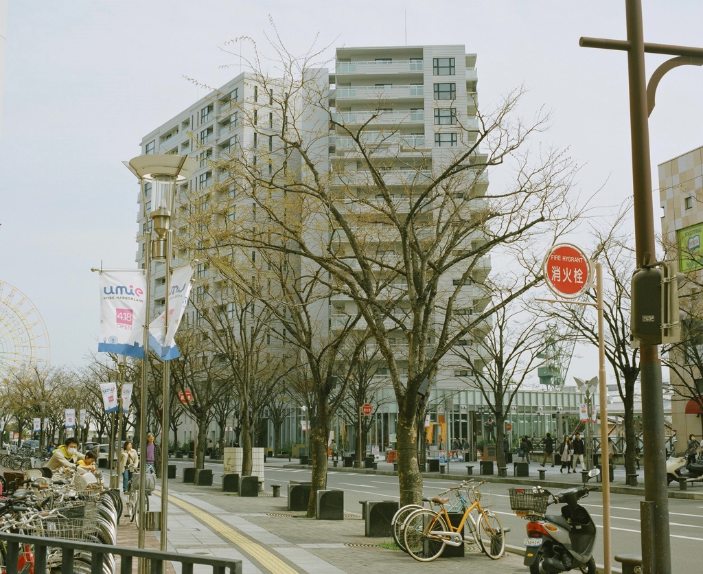 透き通る　２