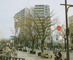 透き通る　２