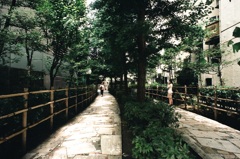 TOKYO SUMMER 7