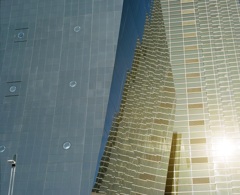 東京見聞録　8
