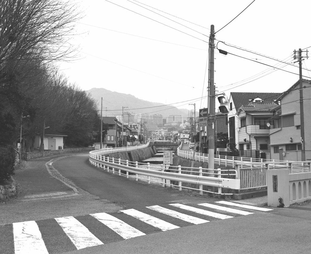 SMC PENTAX67 MACRO 100mmF4　ー6