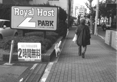 DAYS 2-7