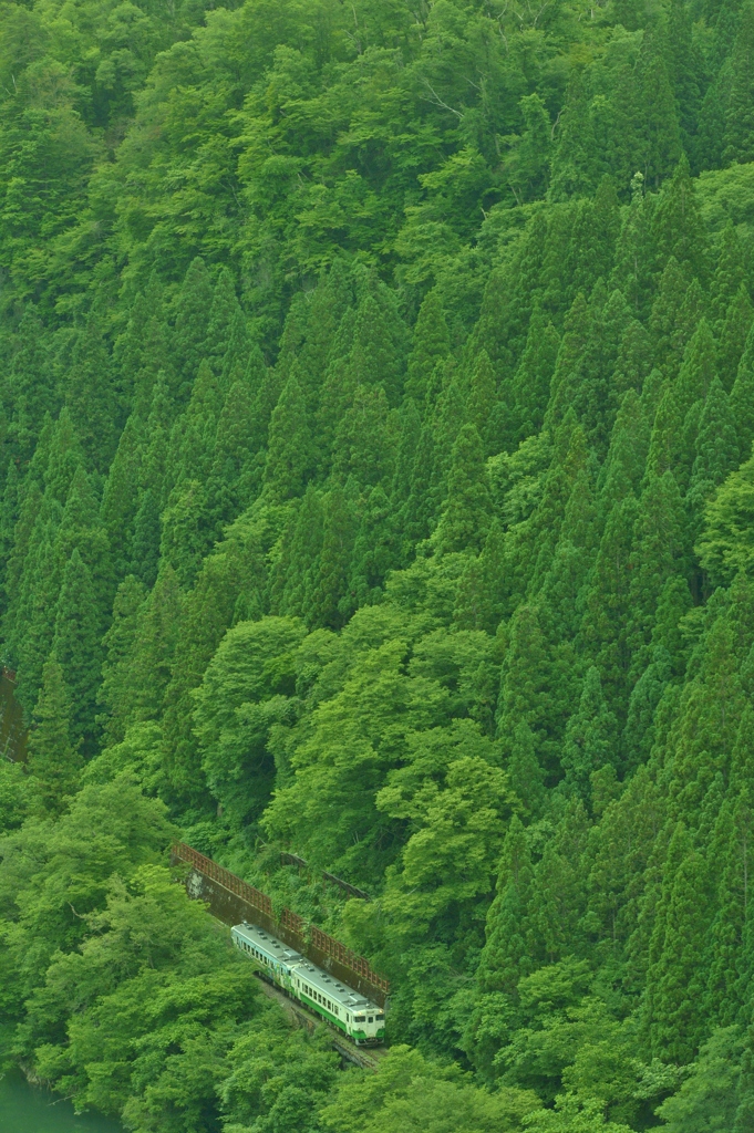 森林を抜ける