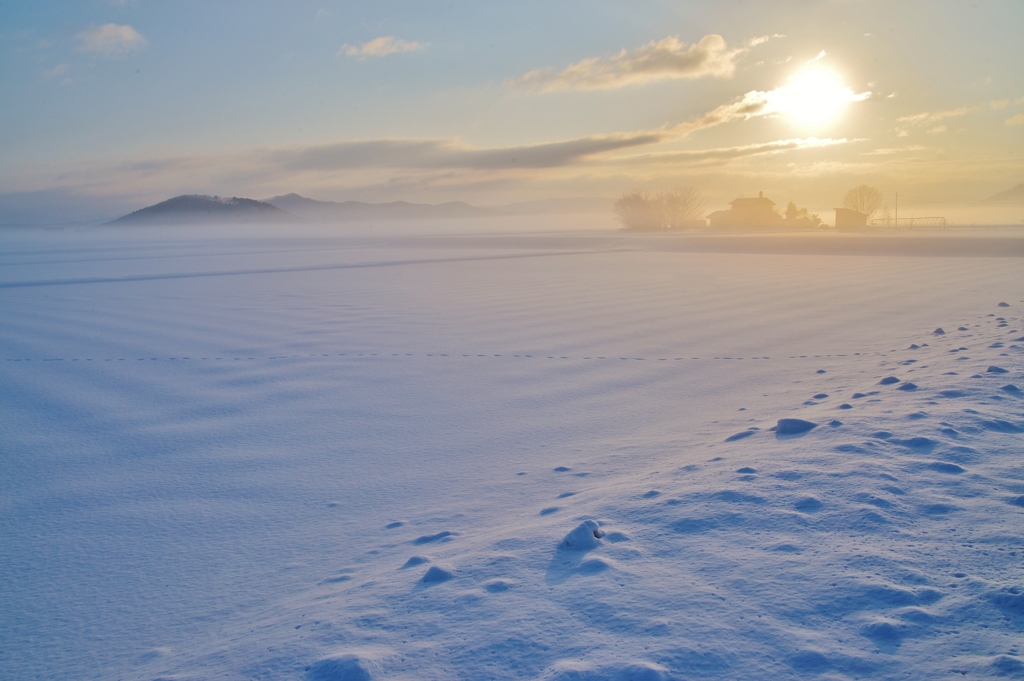 -20℃の朝