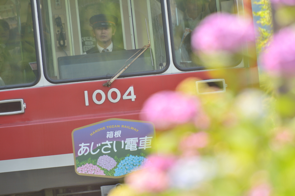あじさい電車