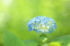 青のとき