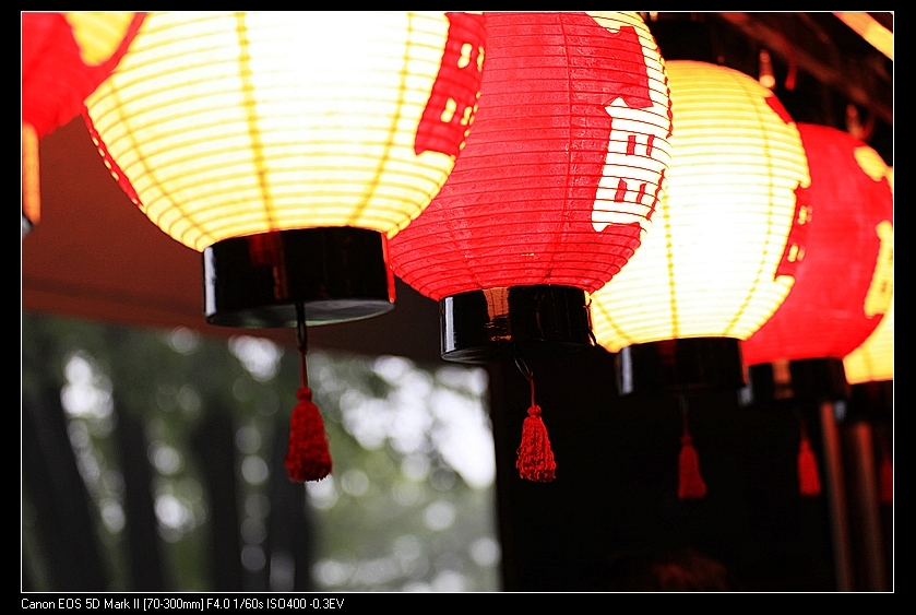雨