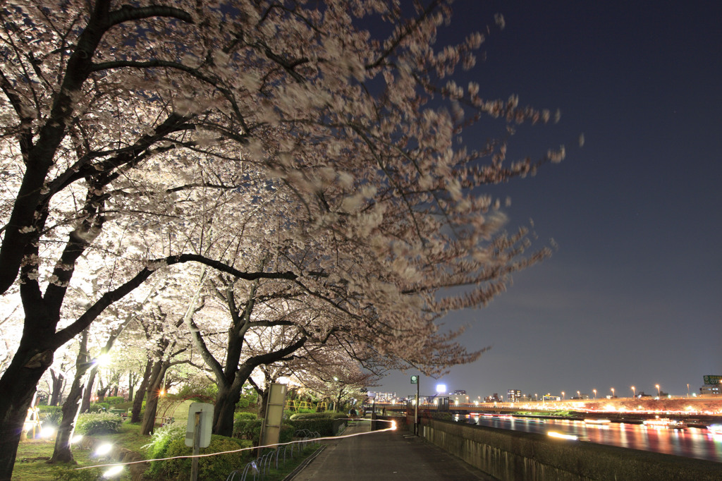 隅田公園