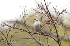 あぁあ～～～！！