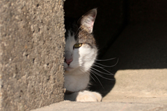 じ～・・シリーズ2