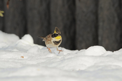 脚がちべたい！