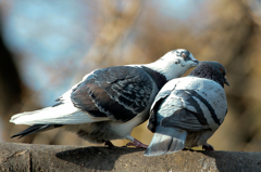 ちゅ～～～～～～～～～～～～～～～～