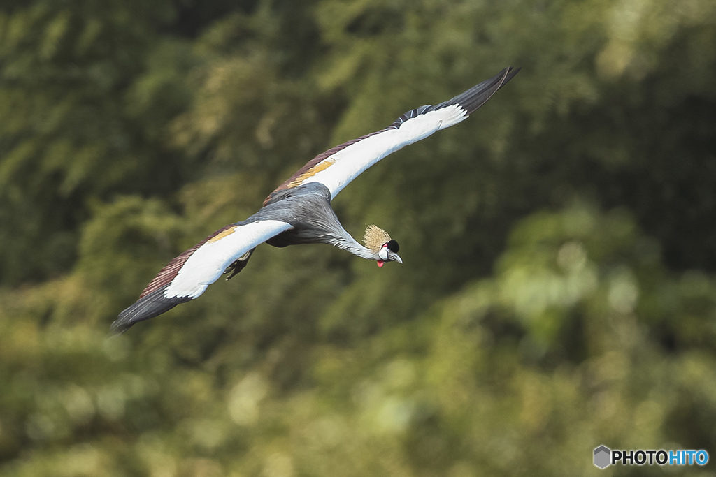 触発　－オイラもかっくん－