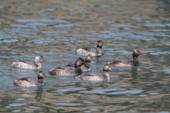 冬夏ファッション