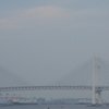 IMG_0240[1]