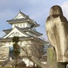 お城と鳥