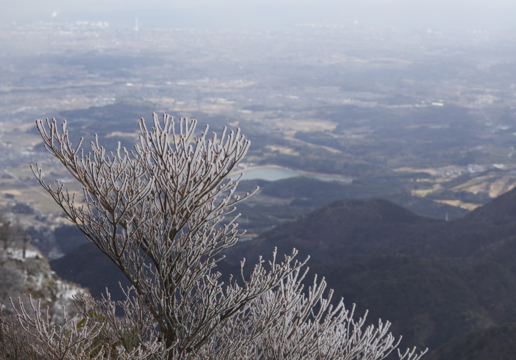 御在所山