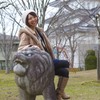 EYE OF THE LION