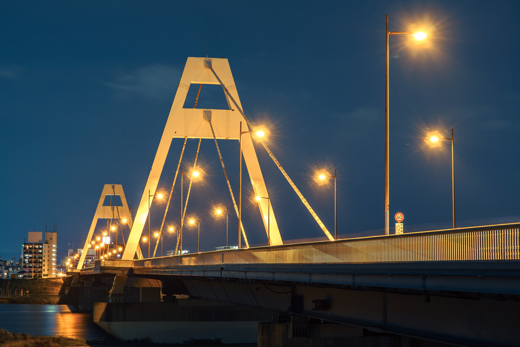 巨大建造物（豊里大橋）