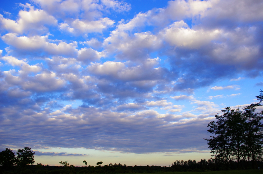 今日の空