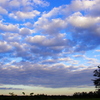 今日の空