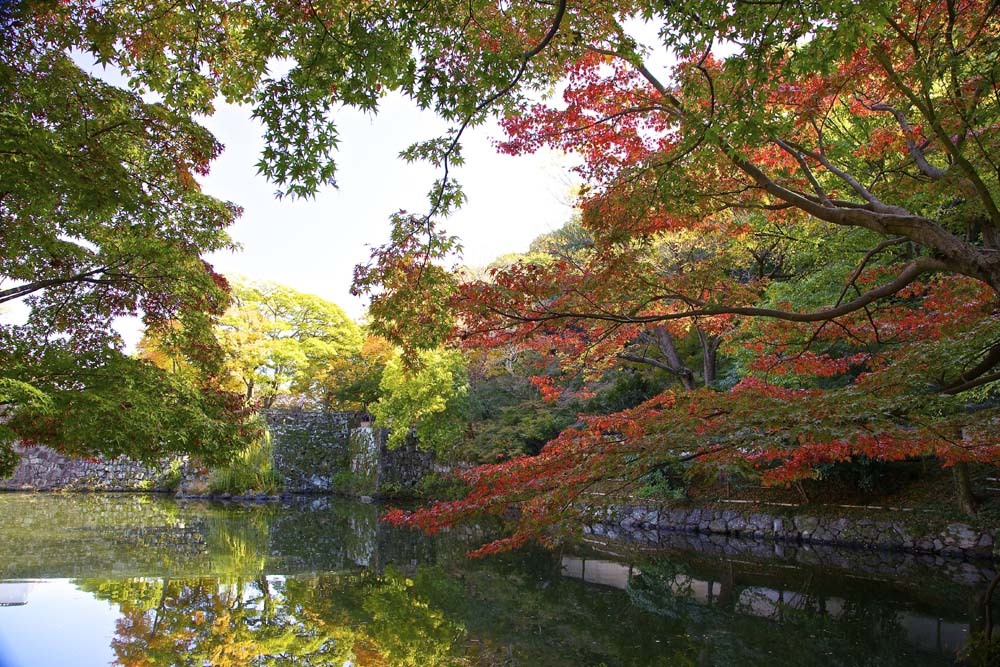 紅葉谷公園