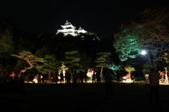 竹灯夜　和歌山城2011