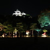 竹灯夜　和歌山城2011