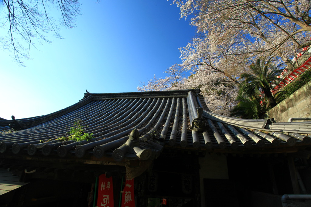 古き良き日本の風景