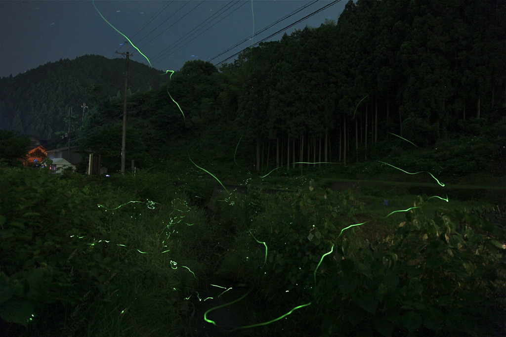 水無月、夜の小川