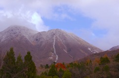 初雪