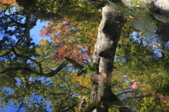 湖面逆さ紅葉