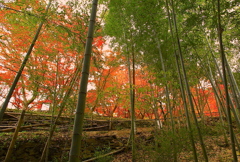 風土記の丘