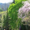 IMG_0562
