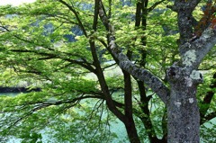 IMG_0607