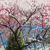 IMG_0702