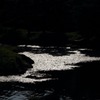 WE7A2903