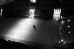 one night 02