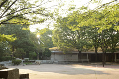 park morning