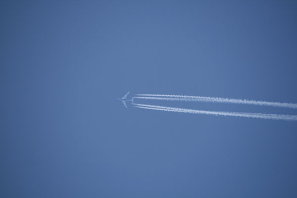 飛行機